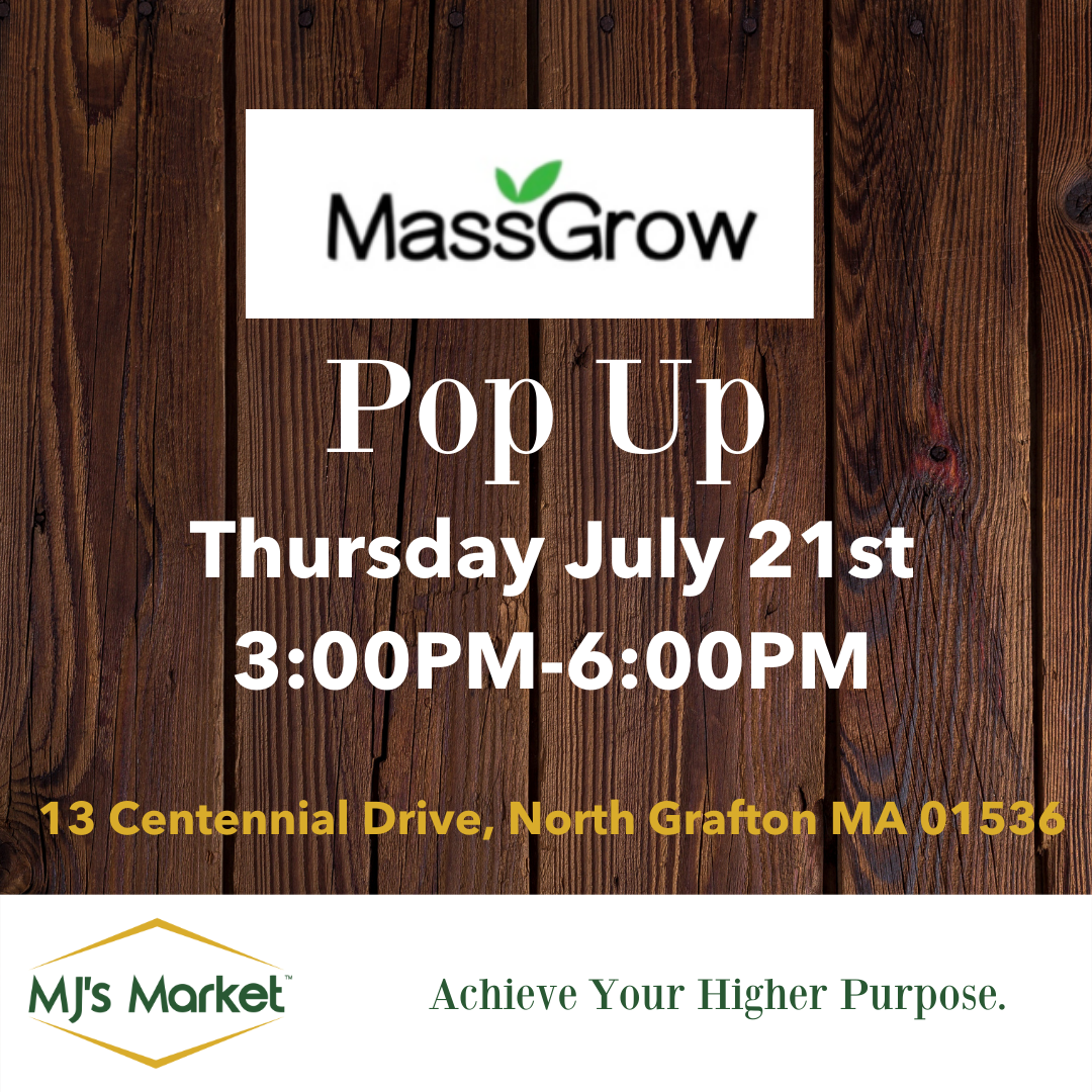 Read more about the article MassGrow Pop-Up